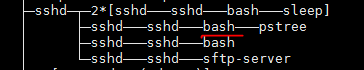 sshd进程启动bash