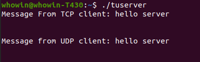 screenshot of tcp/udp server test