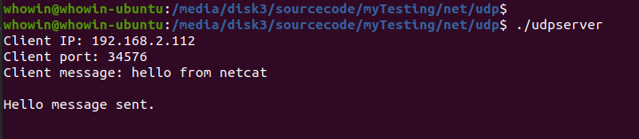 test udpserver with nc