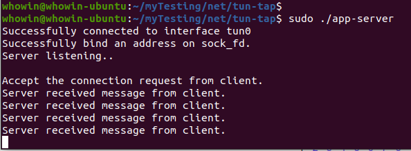 screenshot server 1st terminal for testing