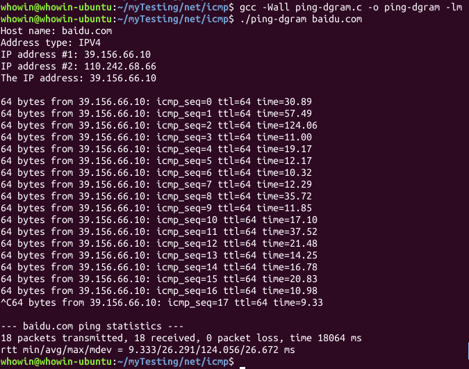 screenshot of ping-dgram