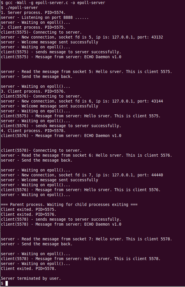 Screenshot of epoll-server